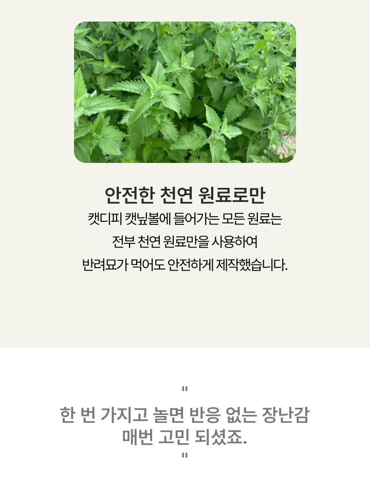 [NEW신상][무료배송] 캣디피 캣닢 마따따비 우드볼 장난감 11번째