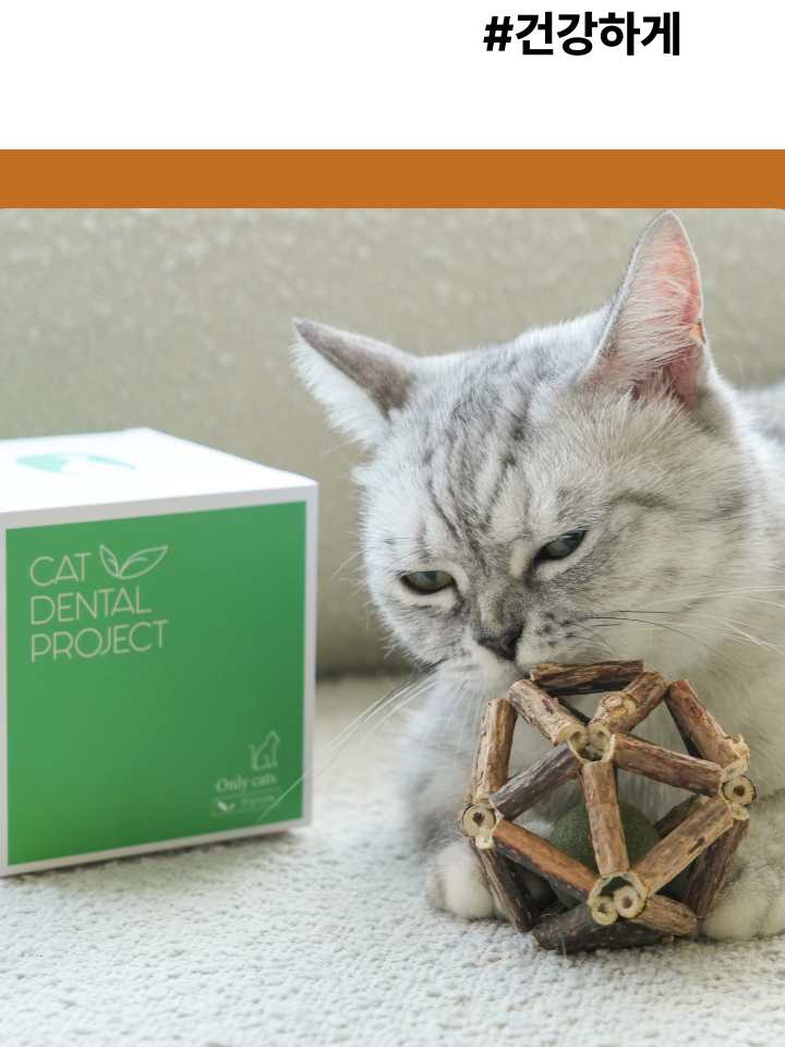 [NEW신상][무료배송] 캣디피 캣닢 마따따비 우드볼 장난감 5번째