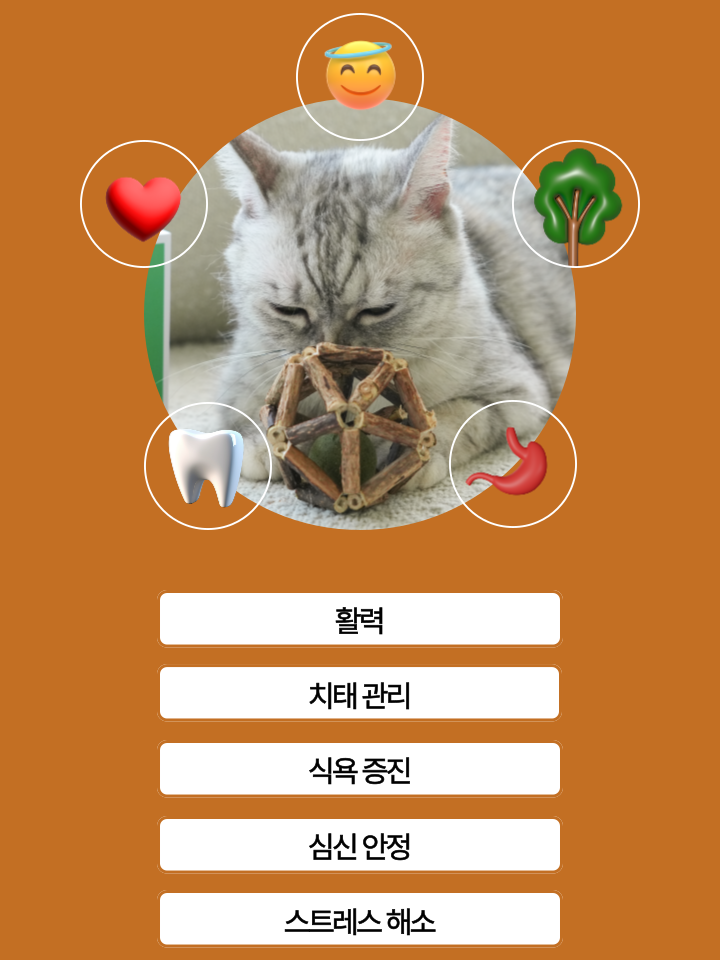 [NEW신상][무료배송] 캣디피 캣닢 마따따비 우드볼 장난감 36번째