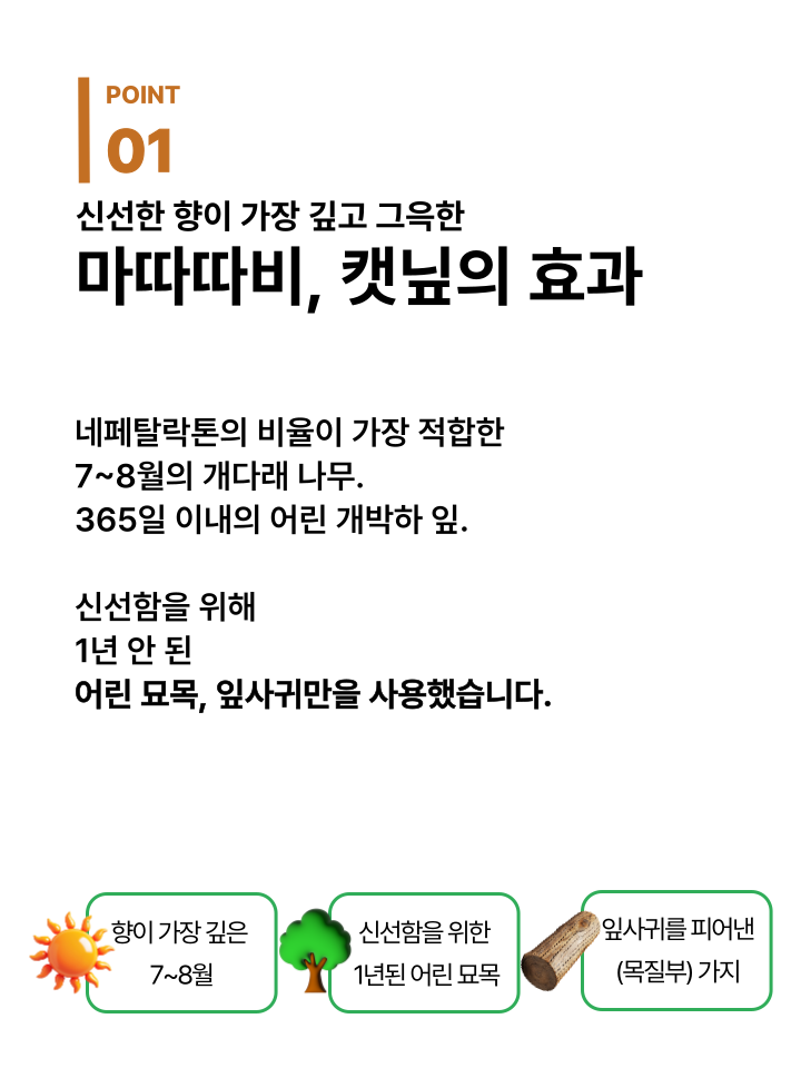 [NEW신상][무료배송] 캣디피 캣닢 마따따비 우드볼 장난감 22번째