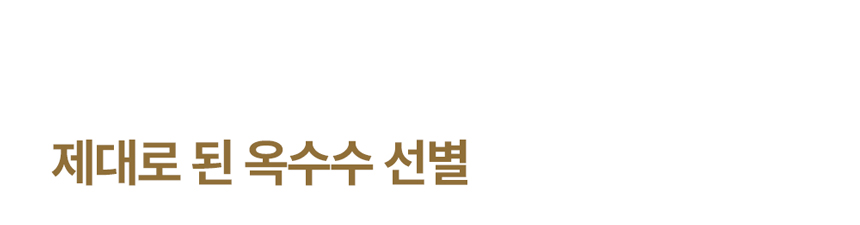 [NEW신상][무료배송] 에이스 카사바 모래 카사벨라 4.8kg 21번째