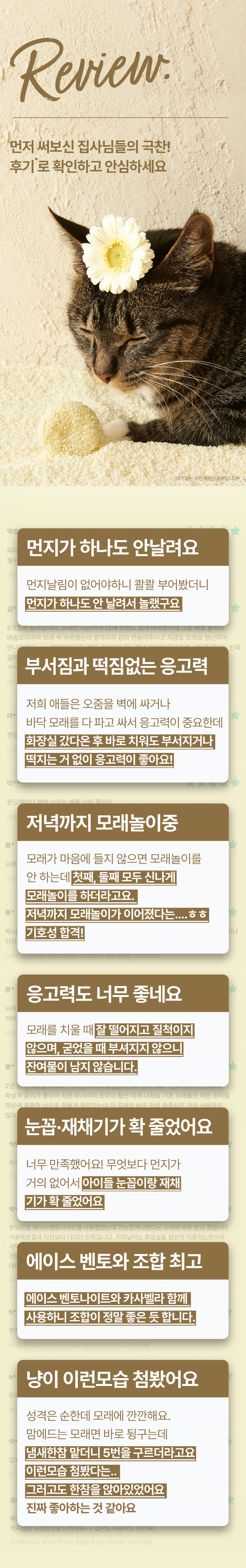 [NEW신상][무료배송] 에이스 카사바 모래 카사벨라 4.8kg 2번째