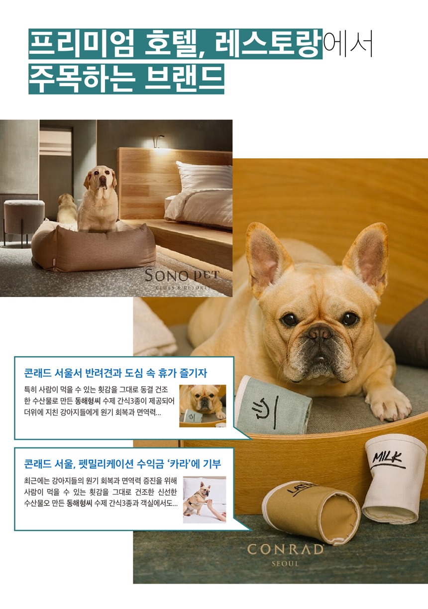 [무료배송] 동해형씨 원물건조 가오리 60g 2번째