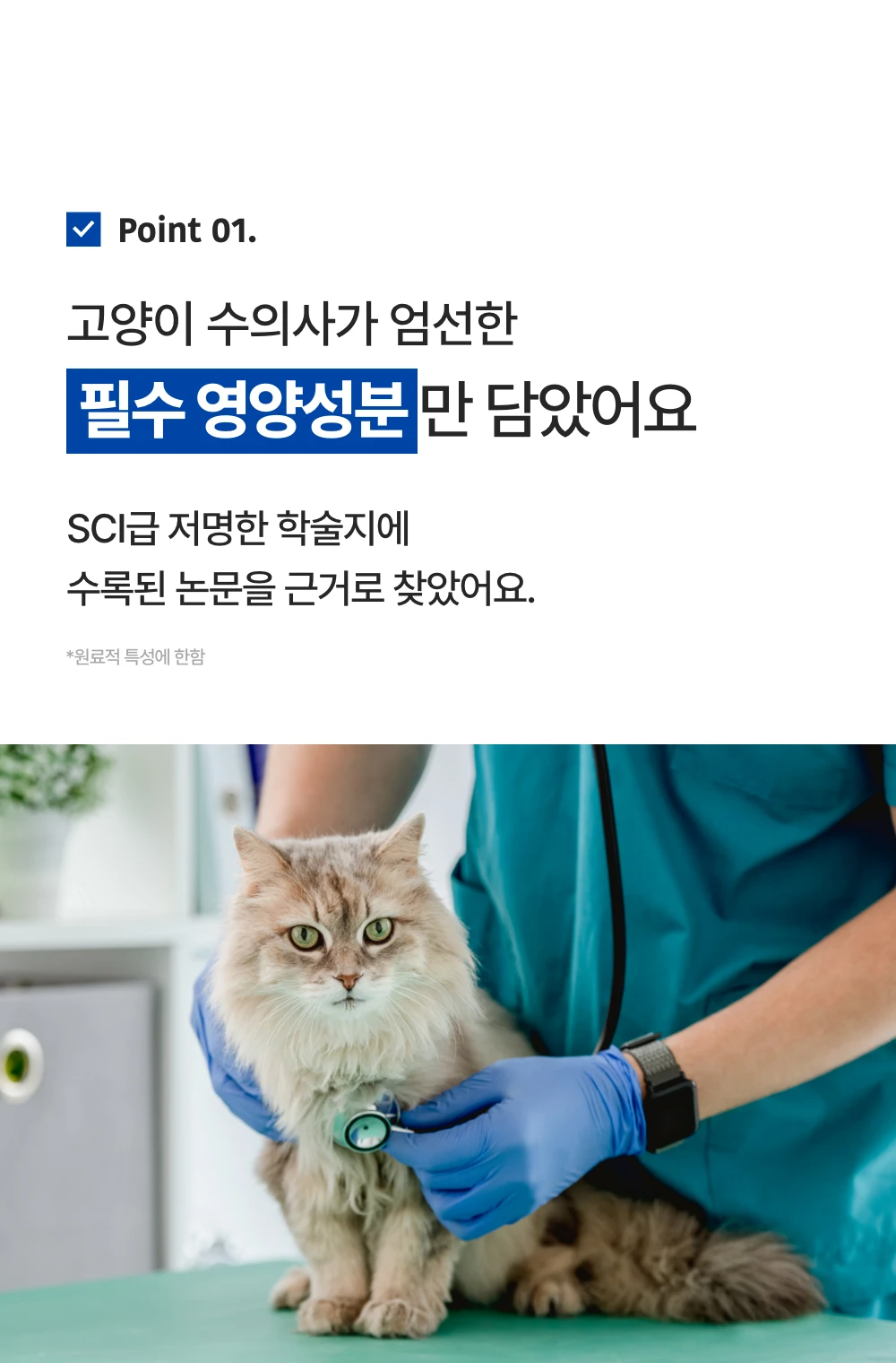 프로젝트21 캣 하루채움 무항생제 닭 12g*15p 23번째