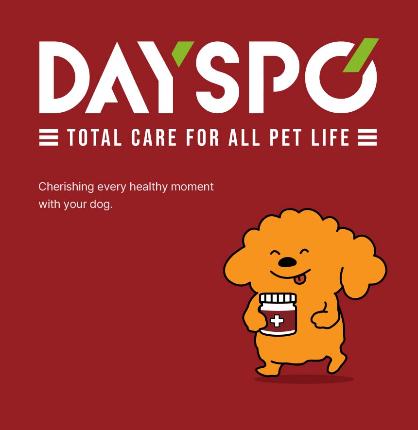 [무료배송] 데이스포 후코이단 피부영양제 250g 4번째