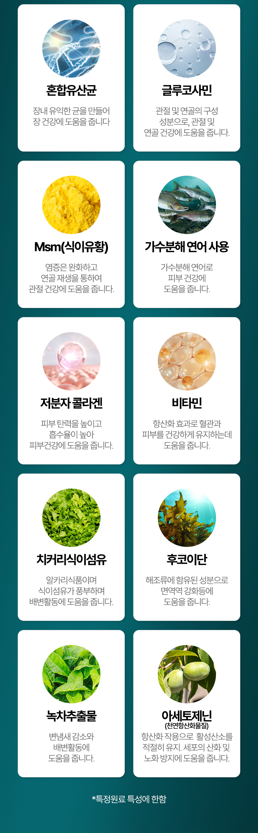 [NEW신상][무료배송] 우리주 독 가수분해 투뿔리아 뼈와관절 소고기 소프트사료 200g 8번째
