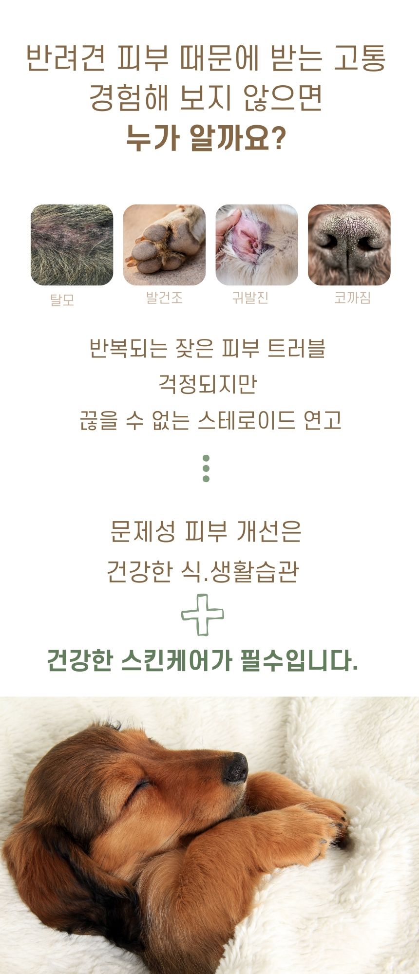 [무료배송] 바스몽 몽셀 강아지 보습제 100ml 3번째