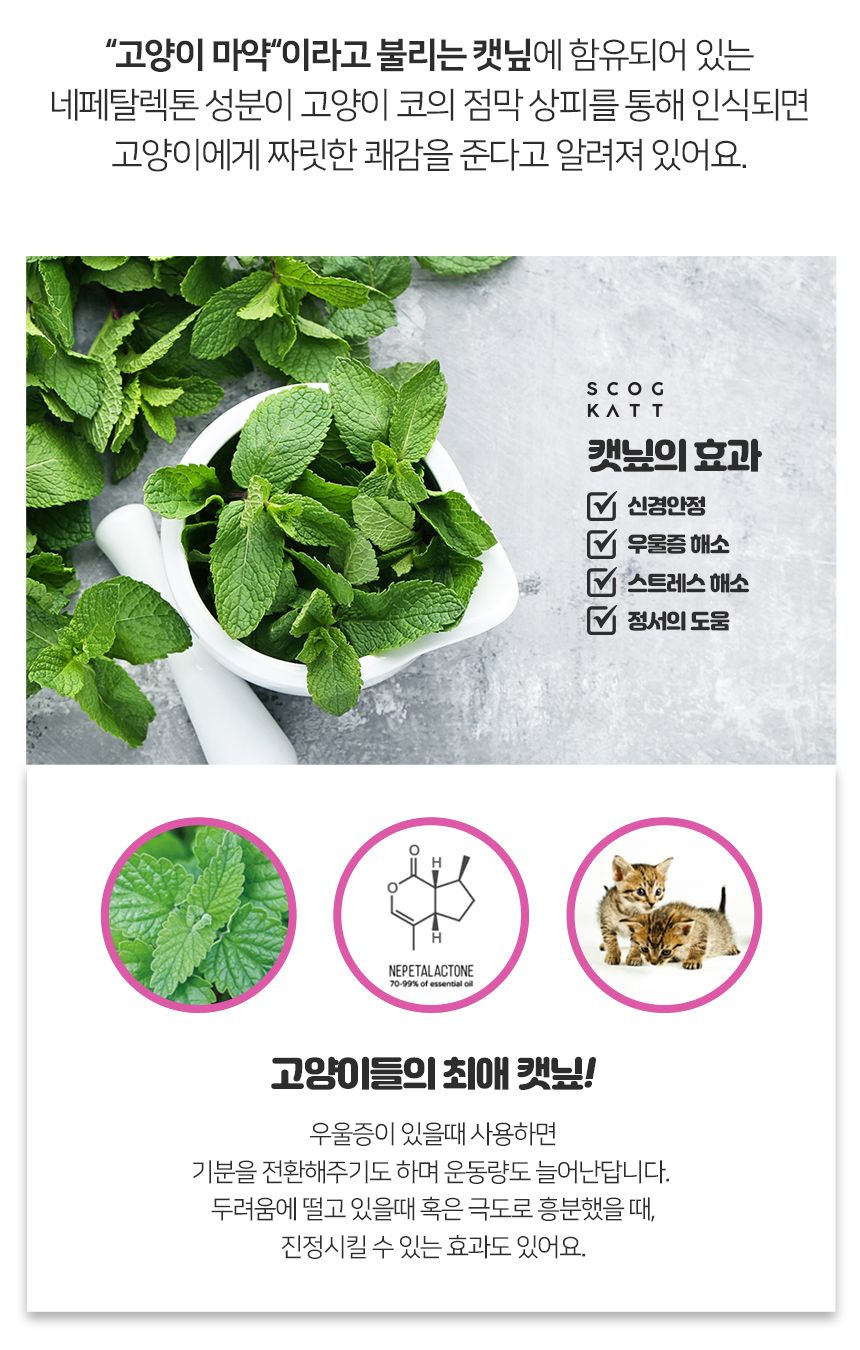 [무료배송] 스코캇 캣닢 비눗방울 + 캣닢 스프레이 15번째