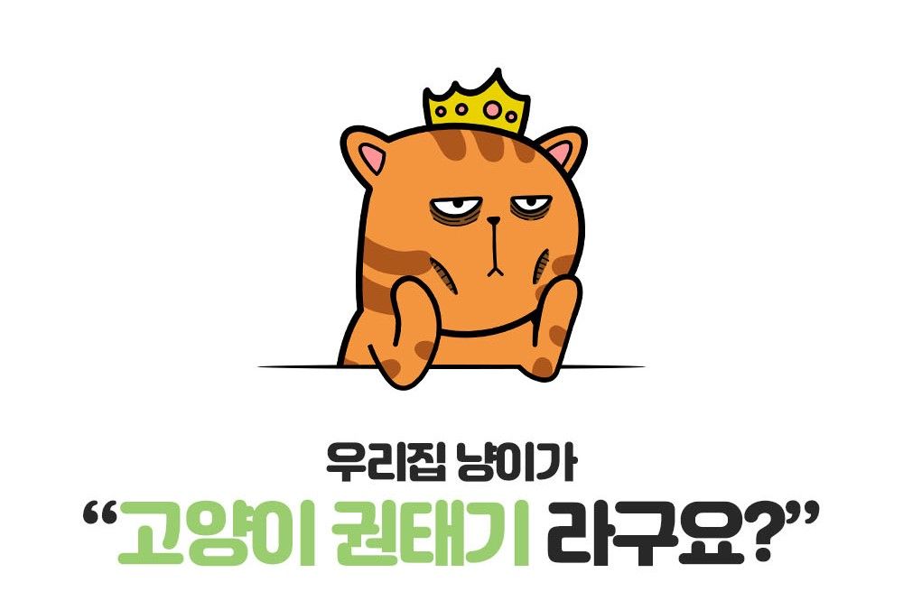 [무료배송] 스코캇 캣닢 비눗방울 + 캣닢 스프레이 19번째