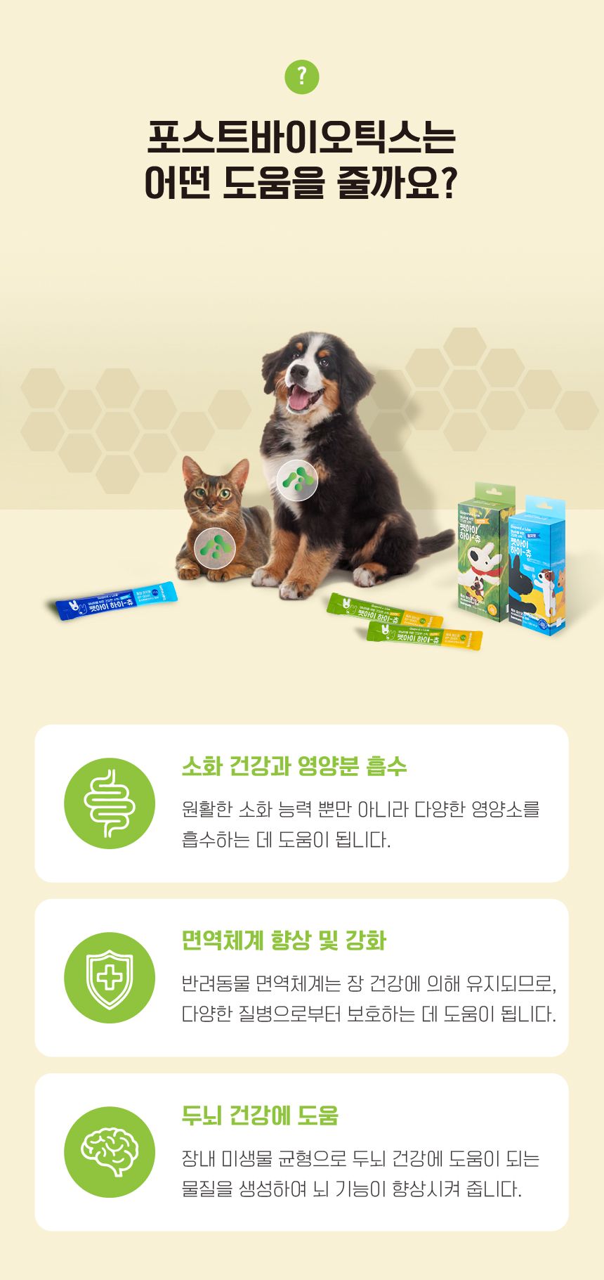 펫아이 하이츄 유산균 참치맛 15p 15번째