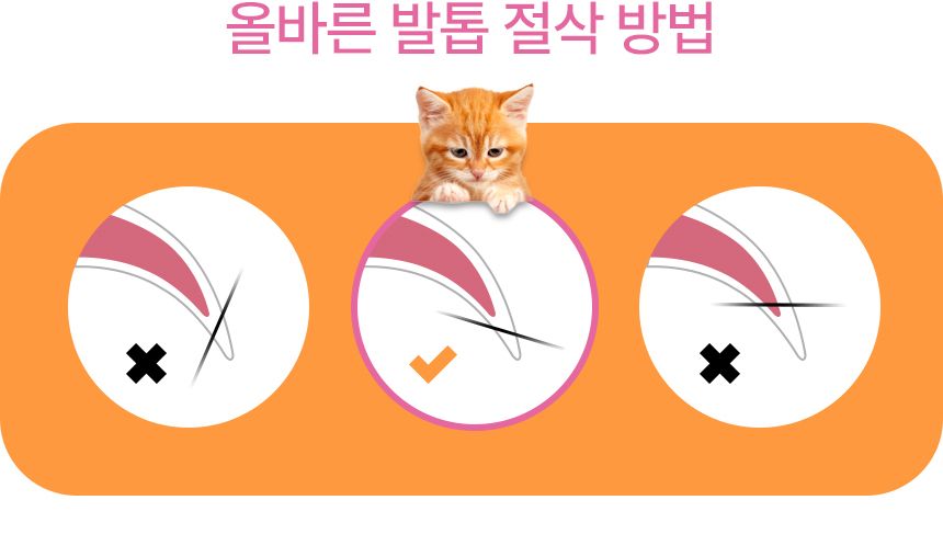 바비온 발톱깎이 019R 소 11번째