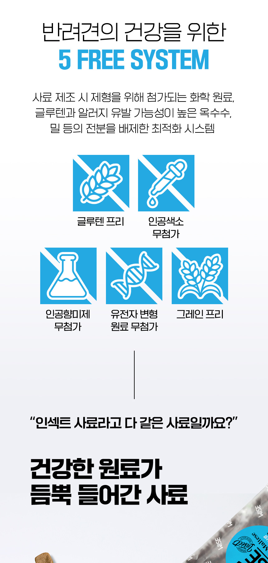 [NEW신상][무료배송] 데이스포 독 와이즈 인섹트 말티즈 1.5kg 6번째