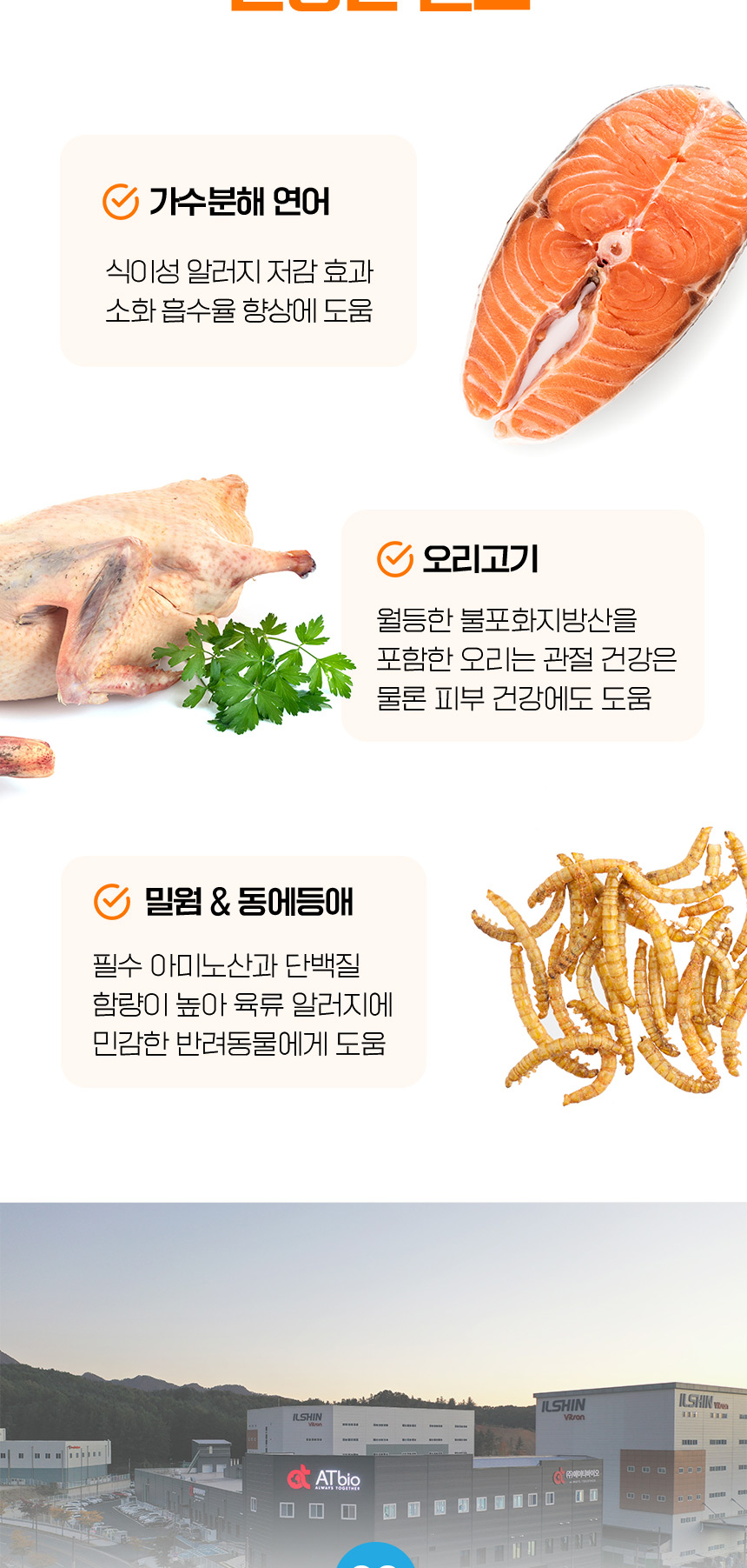 [NEW신상][무료배송] 데이스포 독 와이즈 인섹트 말티즈 1.5kg 8번째