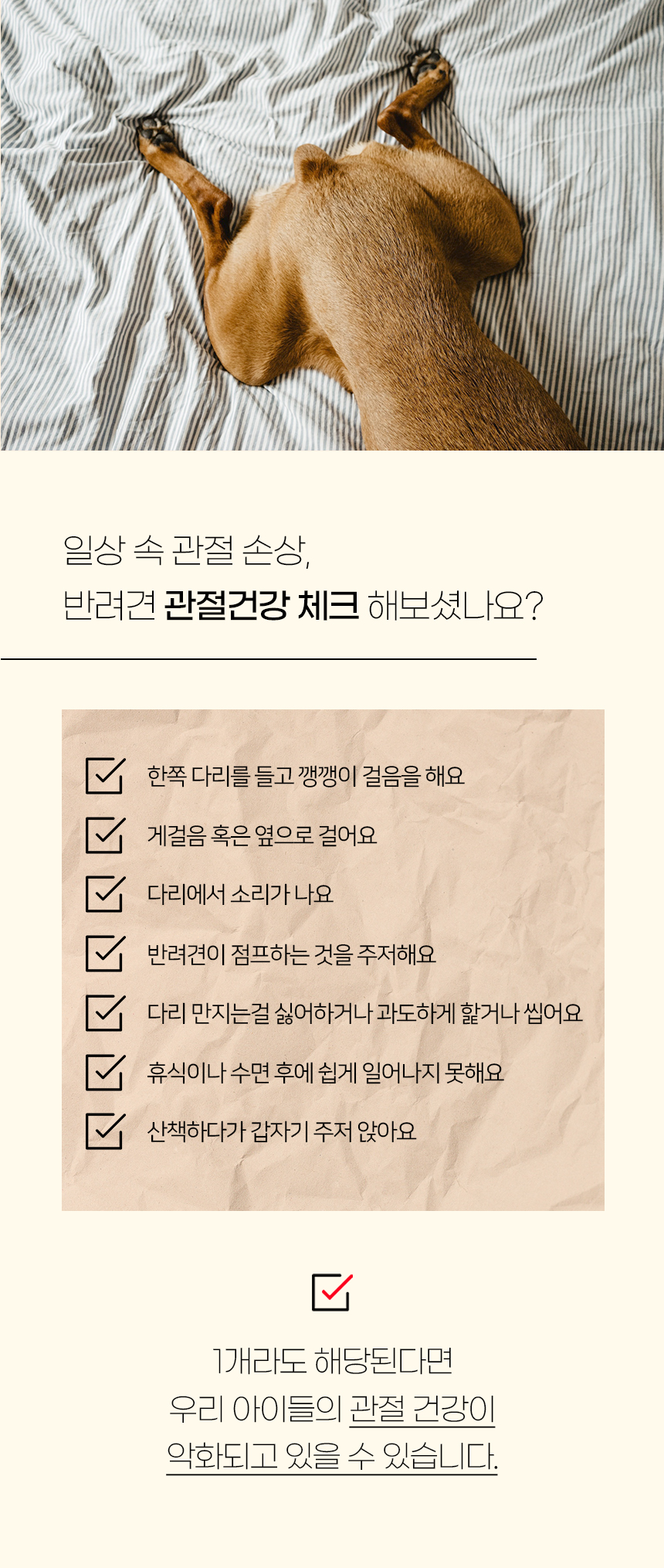 [NEW신상][무료배송] 개과천선 독 나엘 펫스텝 계단 (그레이/아이보리 블루) 3번째