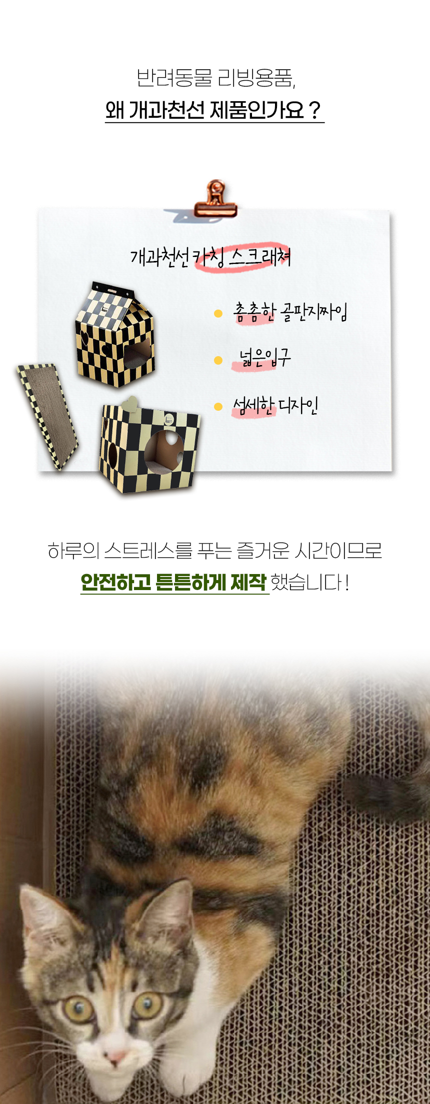 [NEW신상][무료배송] 개과천선 캣 카칭 스크래쳐 4번째