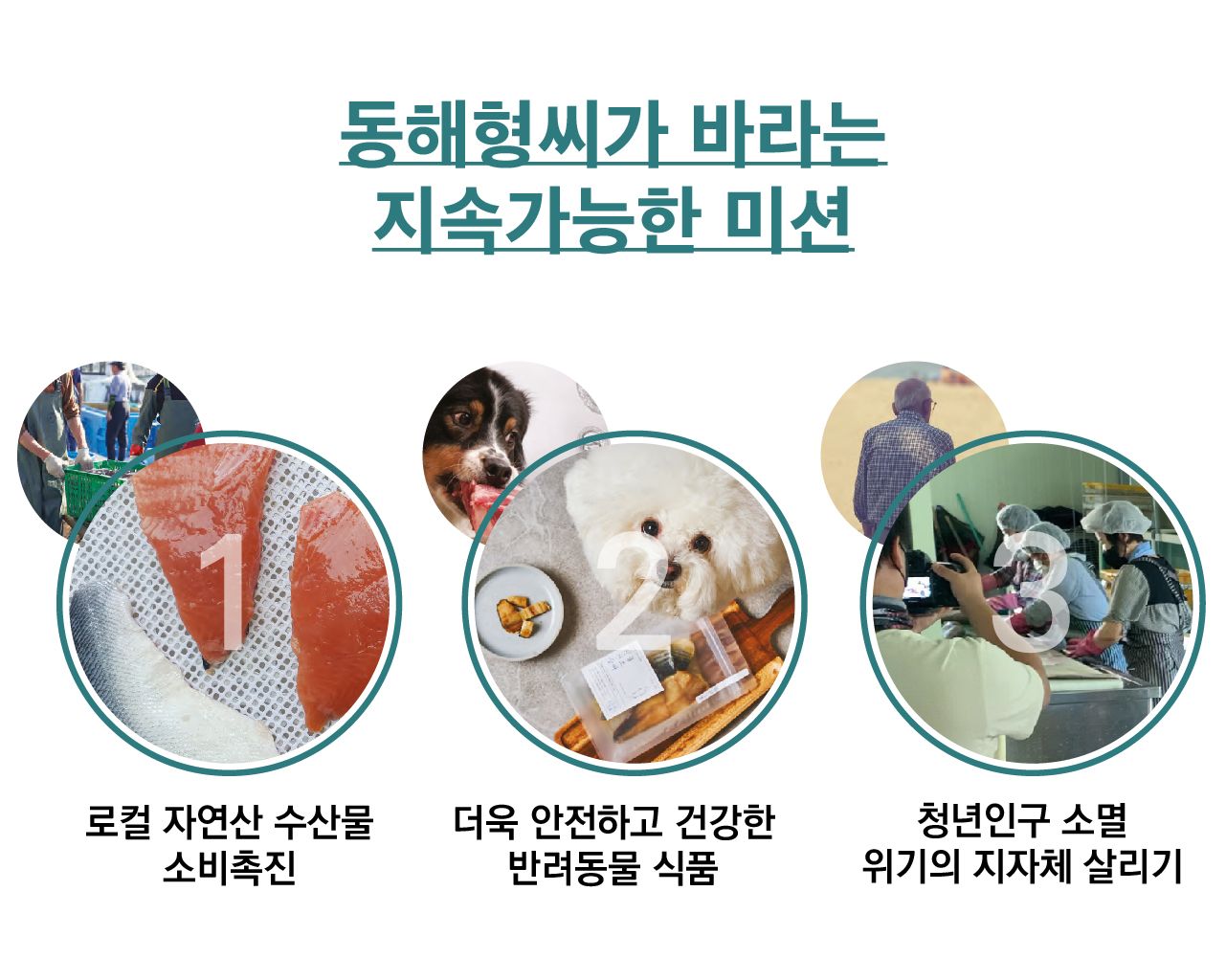 [무료배송] 동해형씨 이스트릿 동결건조 북어&연어&열빙어 3종세트 28번째
