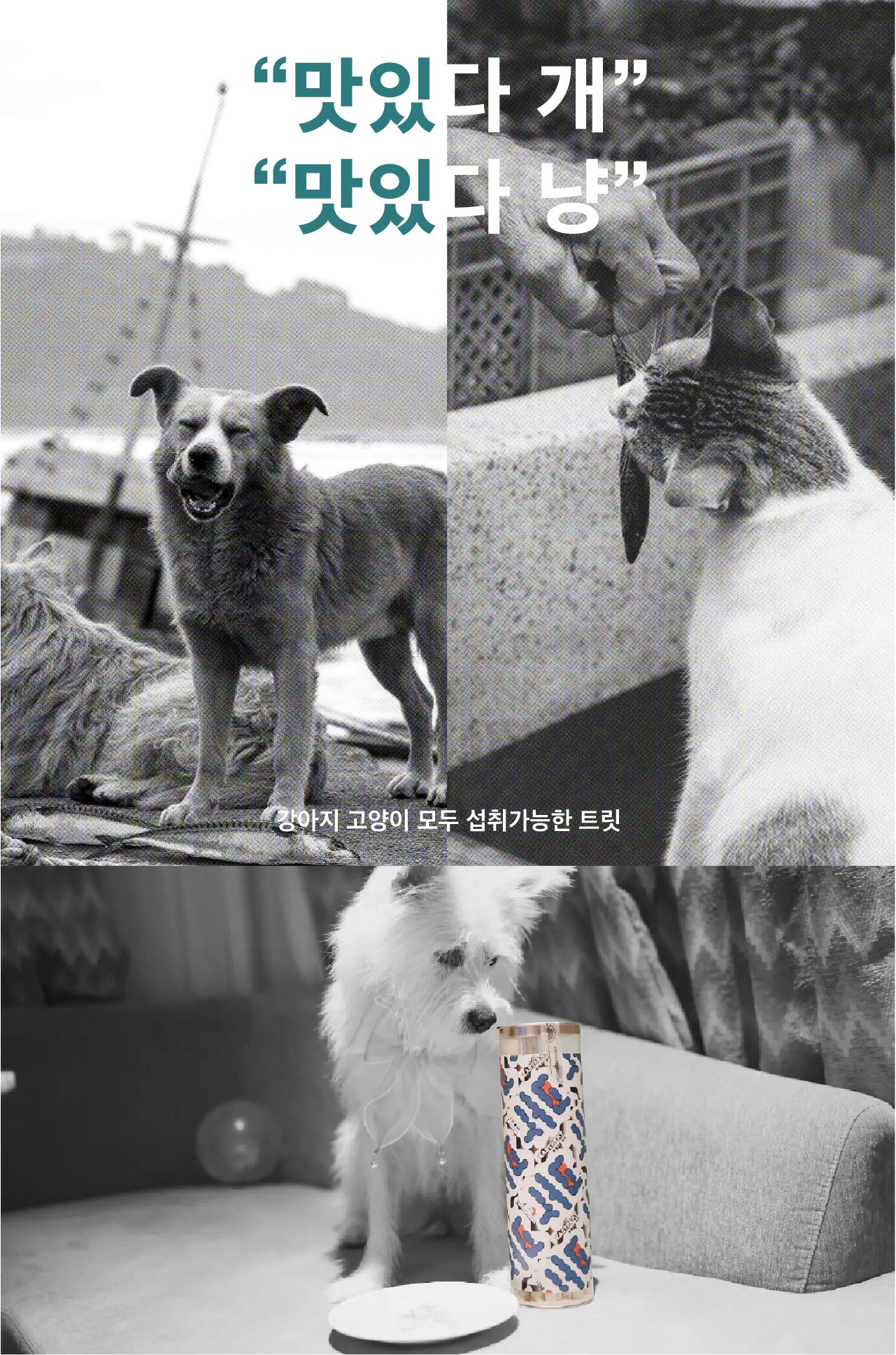 [무료배송] 동해형씨 이스트릿 동결건조 북어&연어&열빙어 3종세트 12번째