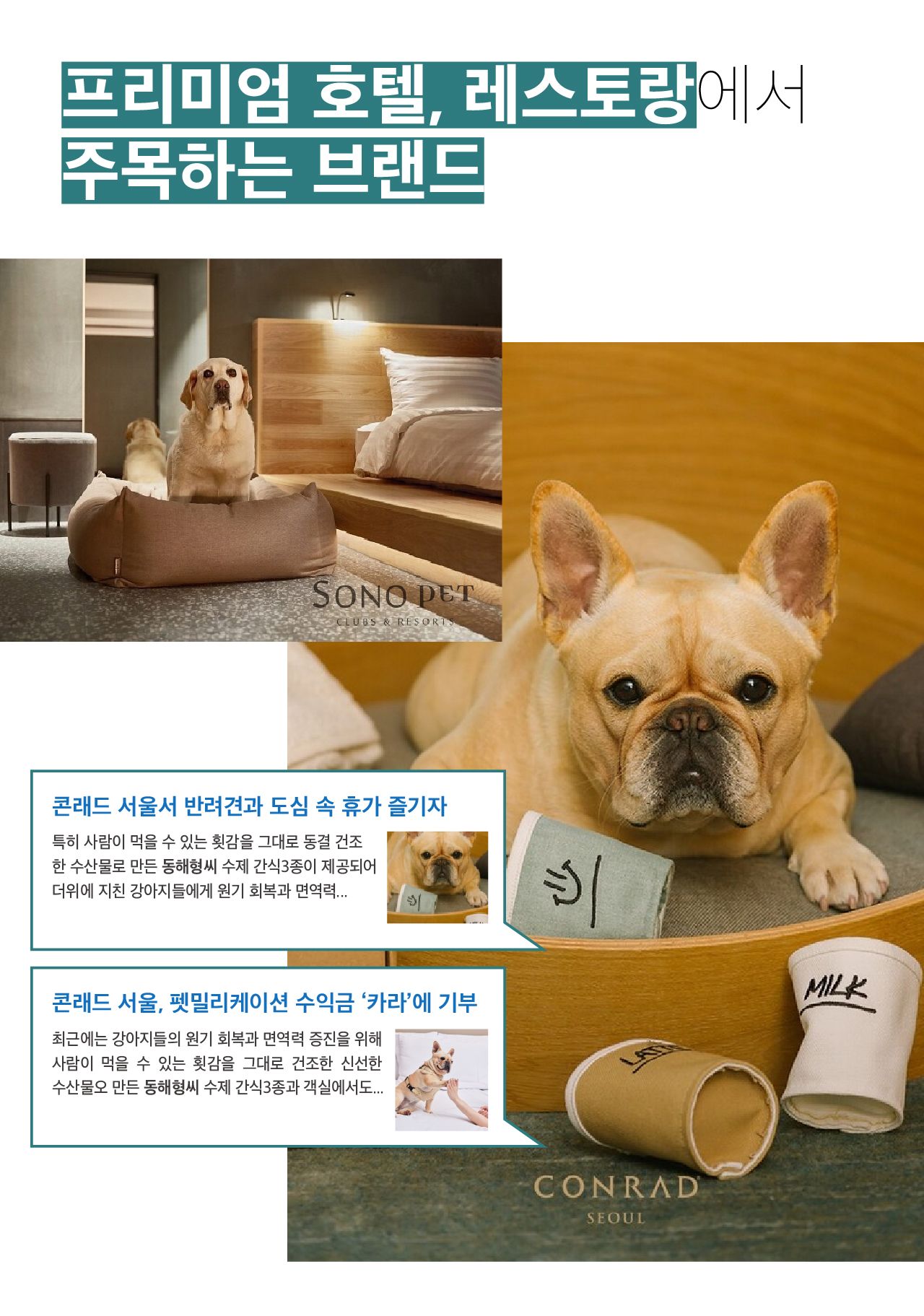 [무료배송] 동해형씨 이스트릿 동결건조 북어&연어&열빙어 3종세트 1번째
