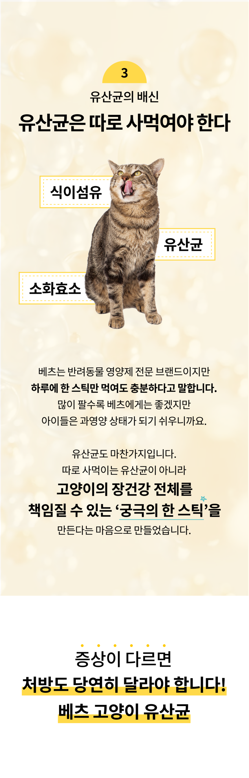 베츠 캣 유산균 둔감한아이 30p 5번째