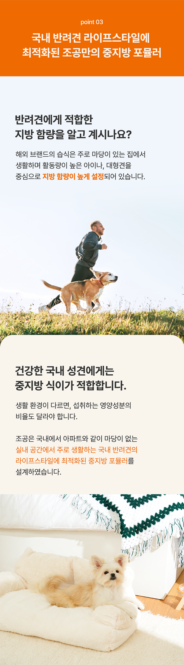 조공 필로 독 칠면조 140g 5번째