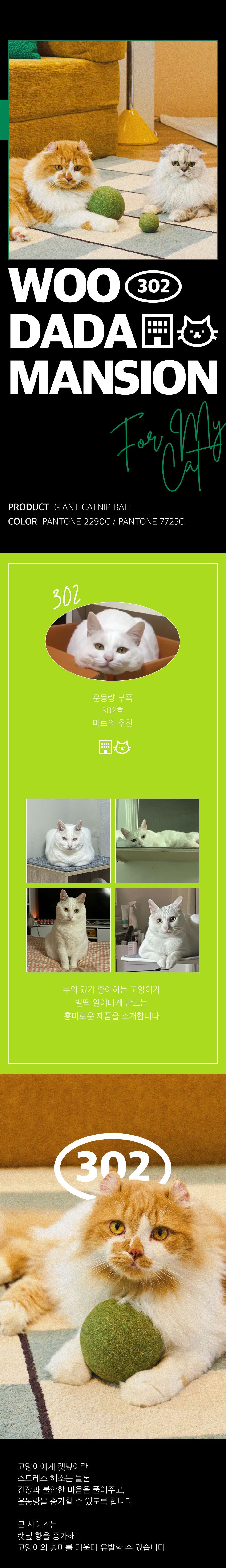 [꿀조합] 우다다맨숀 자이언트 캣닢볼 5cm 2p+베스트 프라이스 긁긁 스크래쳐 타원형+ㅁㅊ덴탈트릿 치킨 2번째