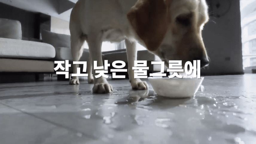 [NEW신상][무료배송] 코코시루 7L 대용량 빅 플로우 자동급수기 C7WF 6번째