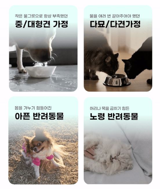 [NEW신상][무료배송] 코코시루 7L 대용량 빅 플로우 자동급수기 C7WF 9번째