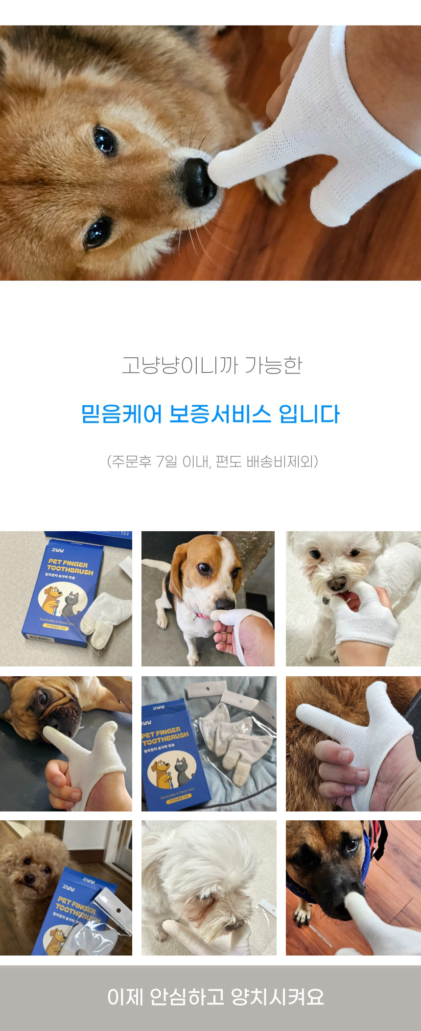 [NEW신상][무료배송] 고냥냥 엄지검지 손가락 칫솔 9번째