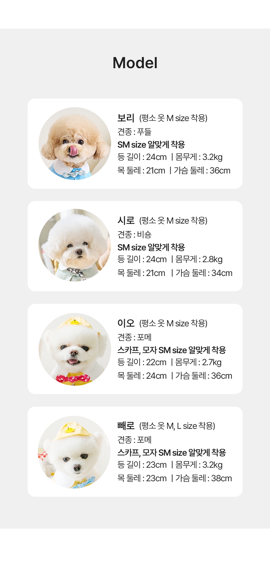 [NEW신상][무료배송] 펫츠앤미 고양이 강아지 유치원 스카프 27번째