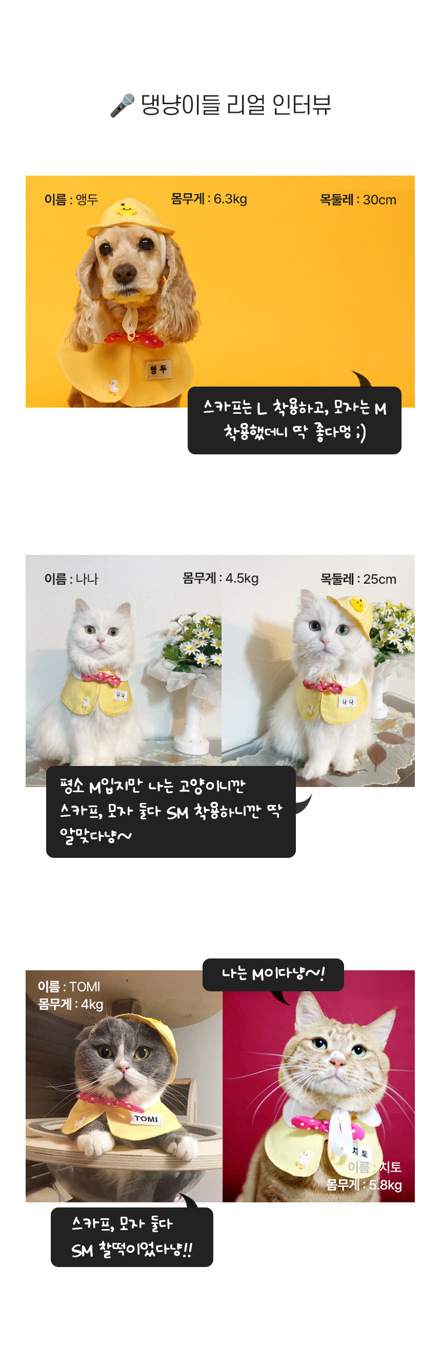 [NEW신상][무료배송] 펫츠앤미 고양이 강아지 유치원 스카프 23번째
