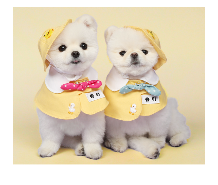 [NEW신상][무료배송] 펫츠앤미 고양이 강아지 유치원 스카프 6번째