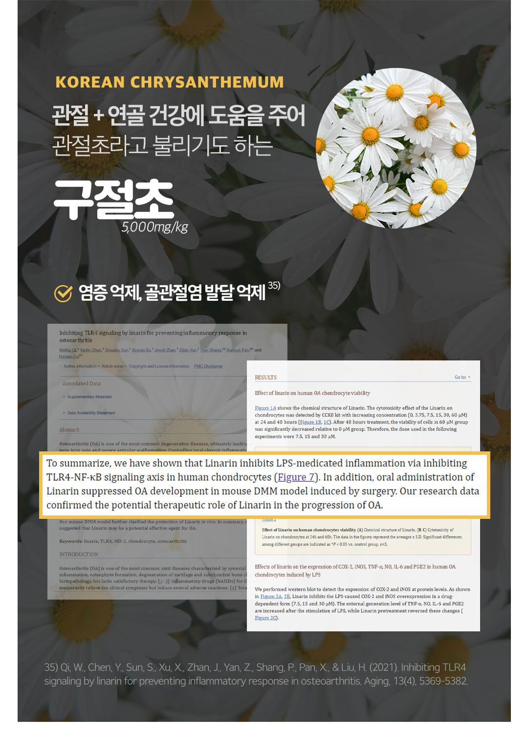 [유통기한임박, 26년4월8일] 닥터페렌들리 올인점프 멀티 시너지 17X 20p 36번째