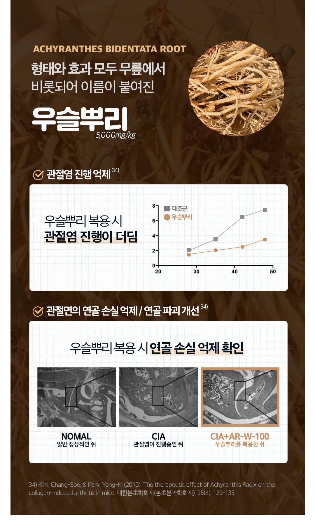 [유통기한임박, 26년4월8일] 닥터페렌들리 올인점프 멀티 시너지 17X 20p 35번째