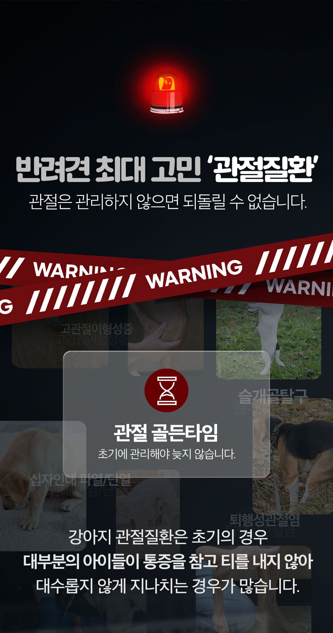 [유통기한임박, 26년4월8일] 닥터페렌들리 올인점프 멀티 시너지 17X 20p 21번째