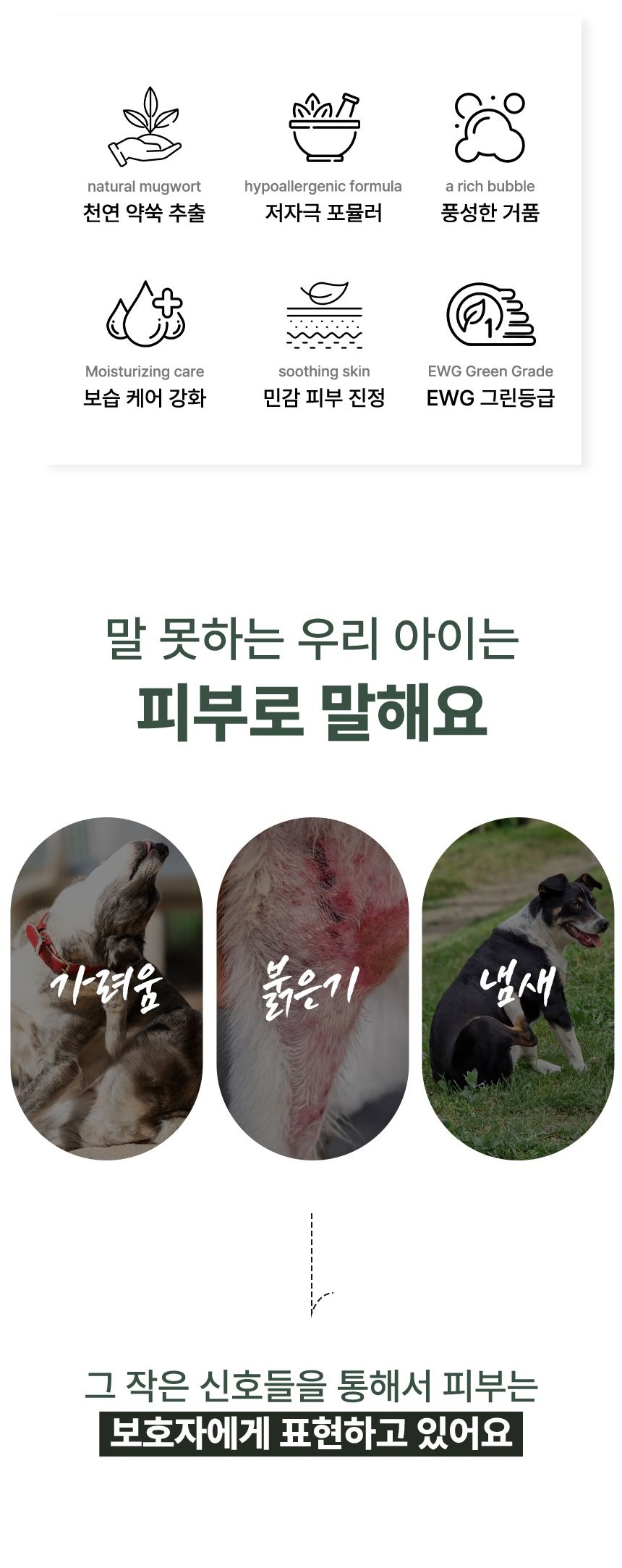 [NEW신상]견묘당 맑은 쑥 보습 샴푸 300ml 2번째