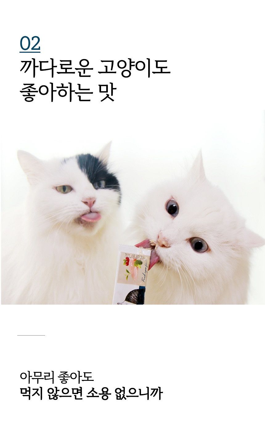 시니멀 캣 스프 유리너리 50g 11번째