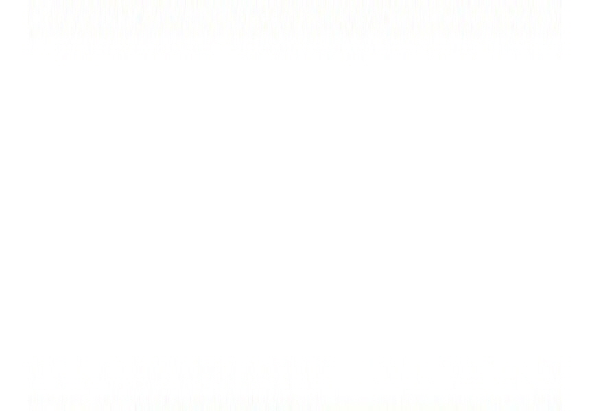 [무료배송] 하웃 펫 울타리 카키브라운/그린/와인  35번째