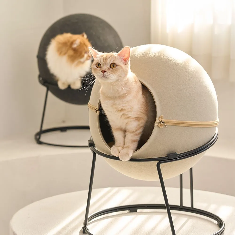 [무료배송] 두잇 키티스텔라 그레이/베이지