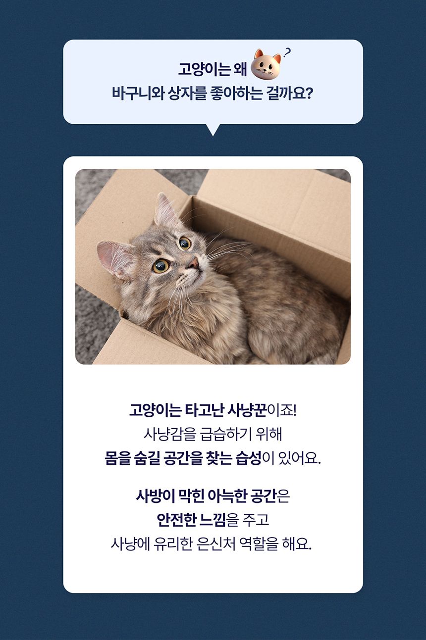 [NEW신상][무료배송] 두잇 키티스텔라 그레이/베이지 3번째