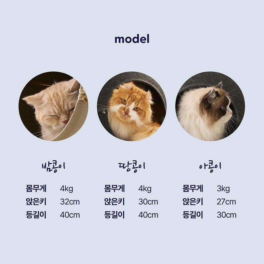 [NEW신상][무료배송] 두잇 키티스텔라 그레이/베이지 18번째