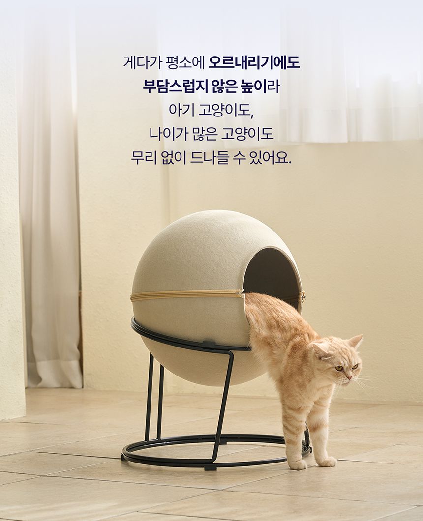 [NEW신상][무료배송] 두잇 키티스텔라 그레이/베이지 7번째