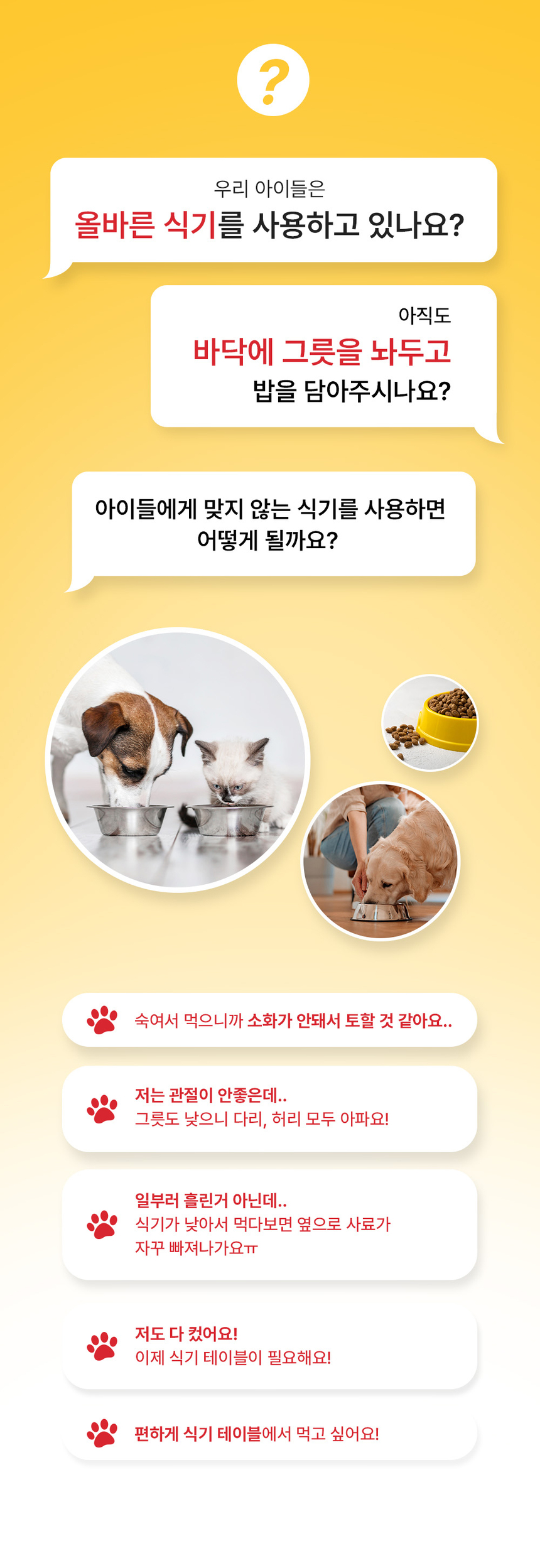 [NEW신상][무료배송] 펫코본 높이 각도 조절 철제 프레임 2구 식기 3번째
