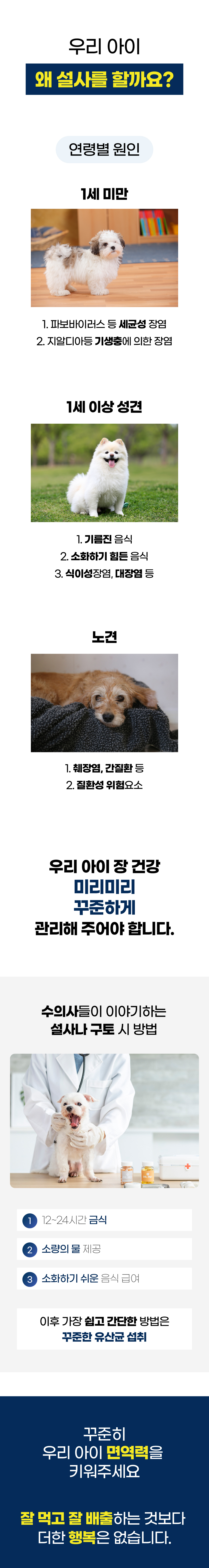 벨라맥스 SBS TV 동물농장 유산균 강아지 장 건강 면역력 영양제 60g 8번째