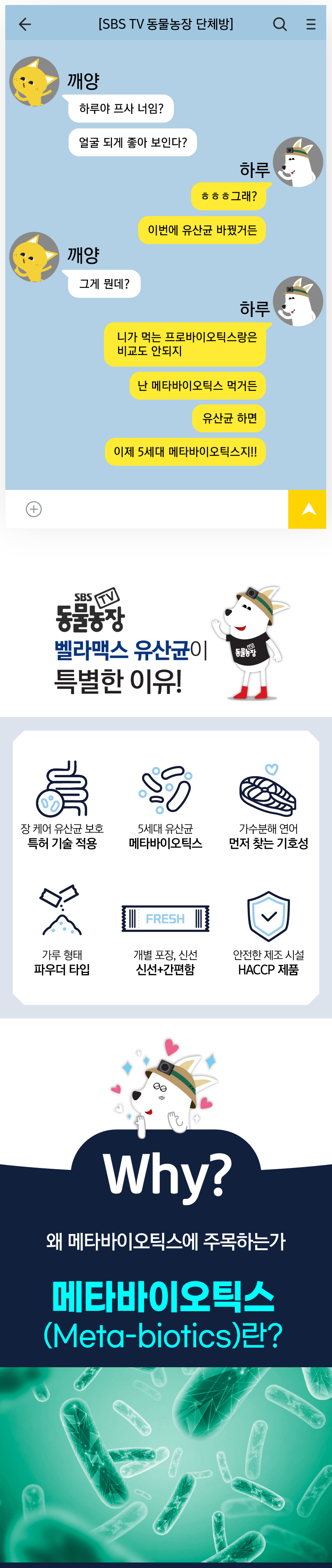벨라맥스 SBS TV 동물농장 유산균 강아지 장 건강 면역력 영양제 60g 12번째