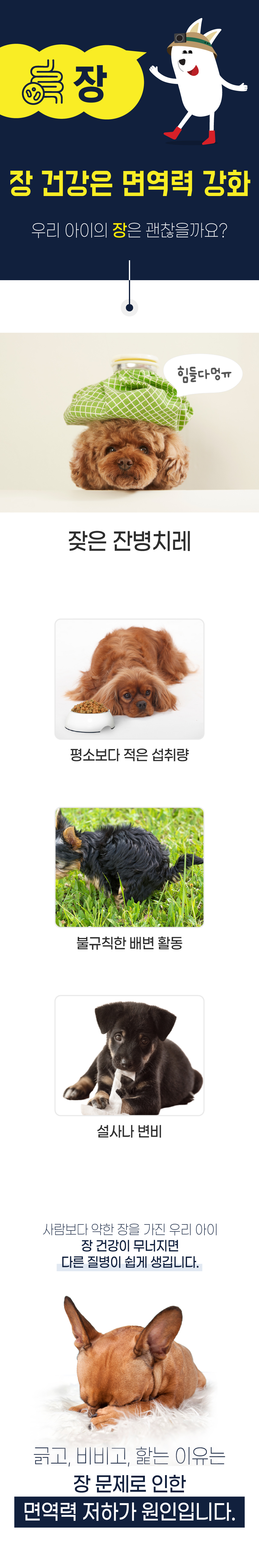 벨라맥스 SBS TV 동물농장 유산균 강아지 장 건강 면역력 영양제 60g 11번째