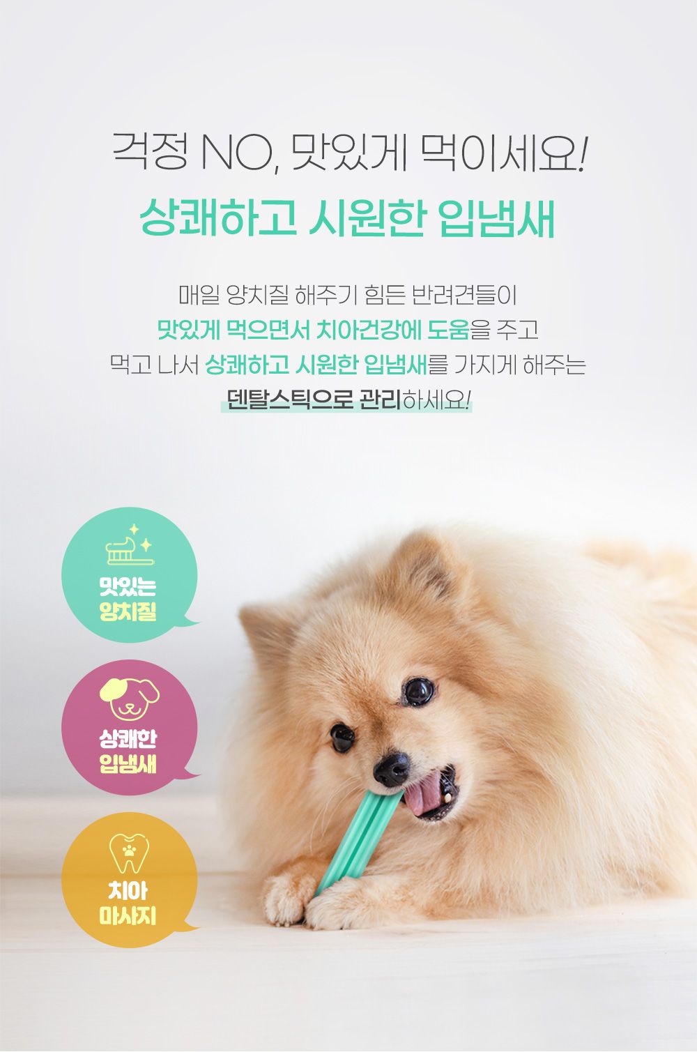 포켄스 독 덴탈스틱칼슘 큰별 220g 3번째
