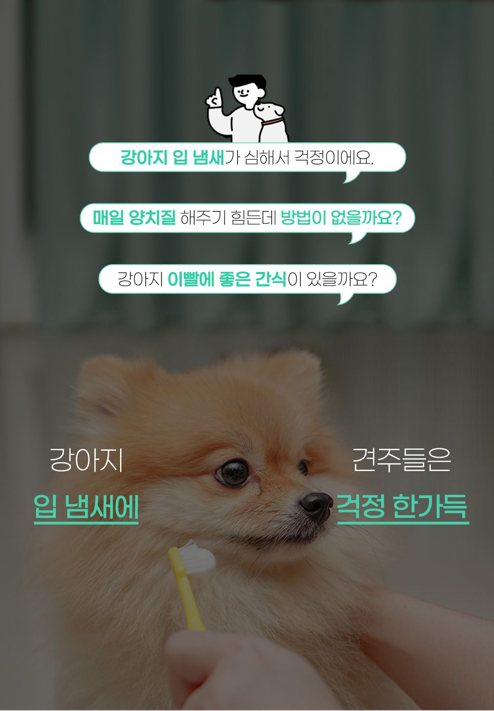 포켄스 독 덴탈스틱칼슘 큰별 220g 2번째