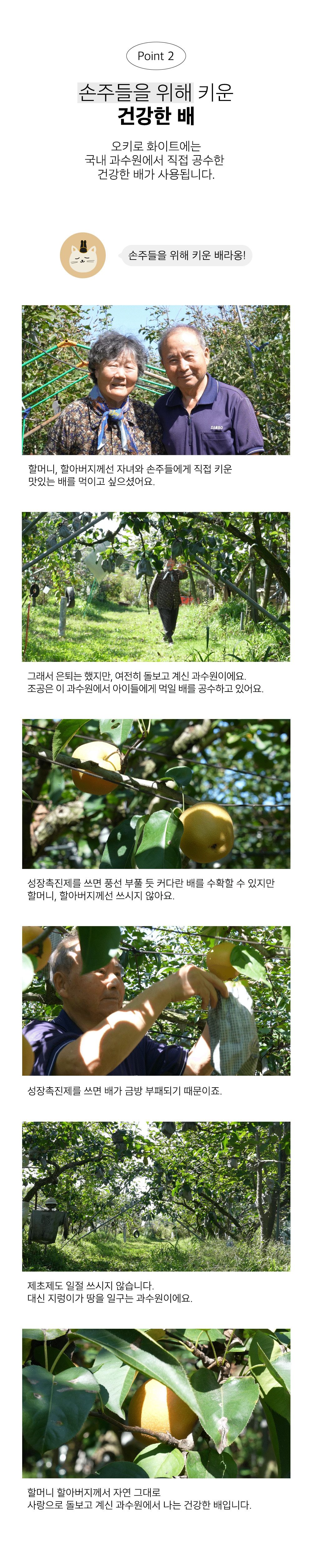 조공 오키로스틱 화이트 칠면조 14g*4p 8번째