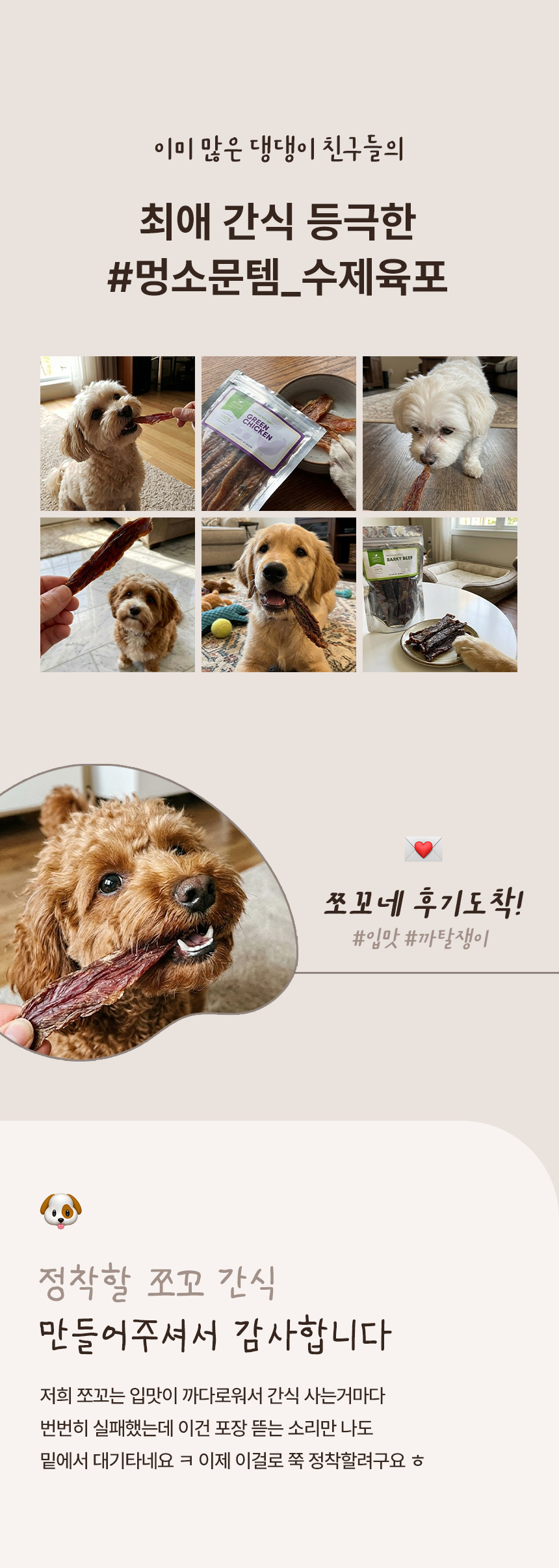 [무료배송] 브루클린펫코 독 그린 치킨 40g 3번째 상세 이미지