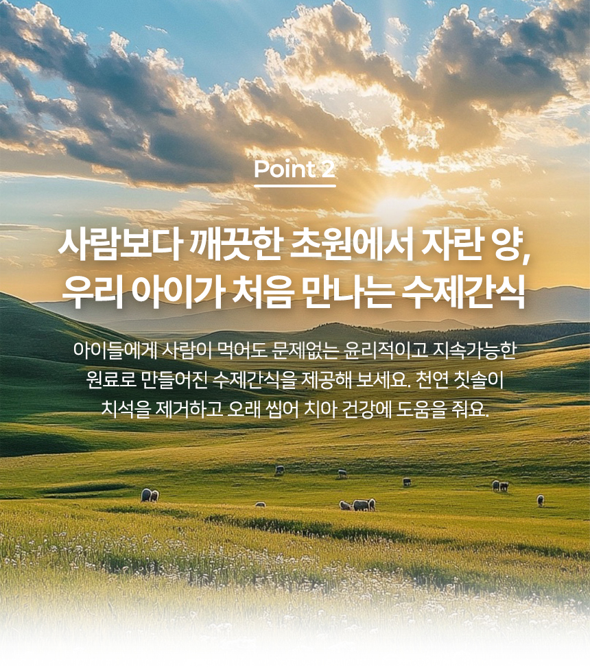 [NEW신상][무료배송] 벨체르 프리미엄 저알러지 양고기 육포 50g 14번째